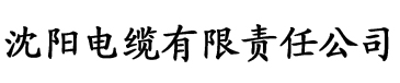 欧美亚洲欧美一区二区三区四区电缆厂logo